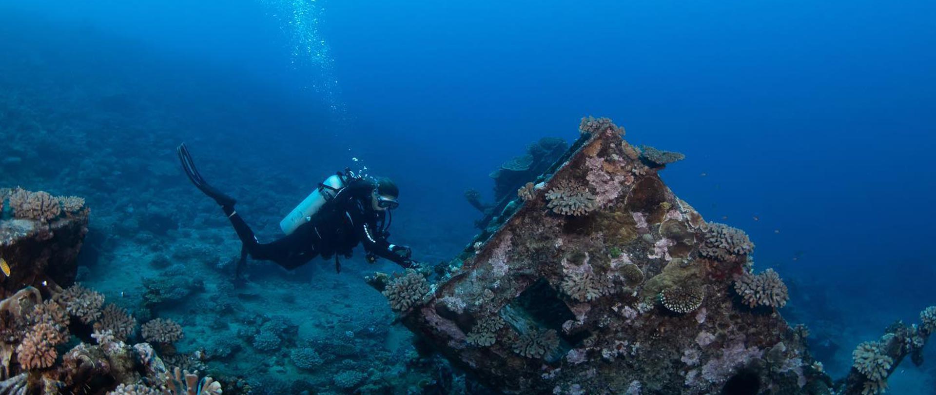 Tahiti Travel Services - Plongée à tahiti - divers©eleuthera tahiti h