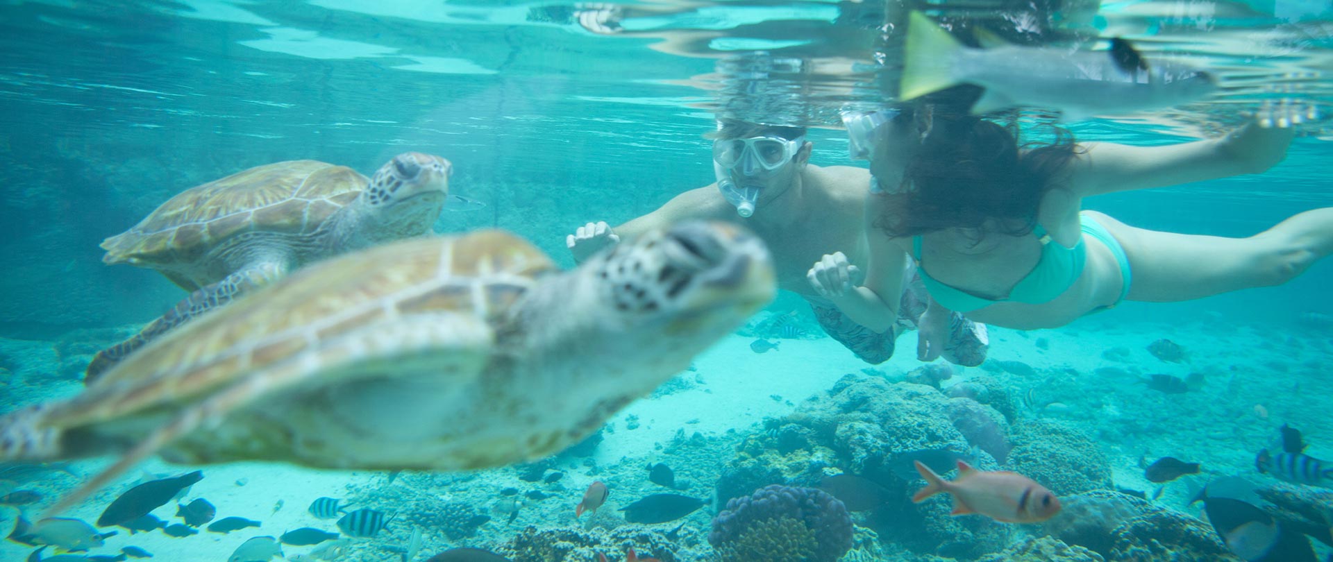 Tahiti Travel Services - Tahiti plongée en aptnée - P2-02-BORA-BORA-01043_H