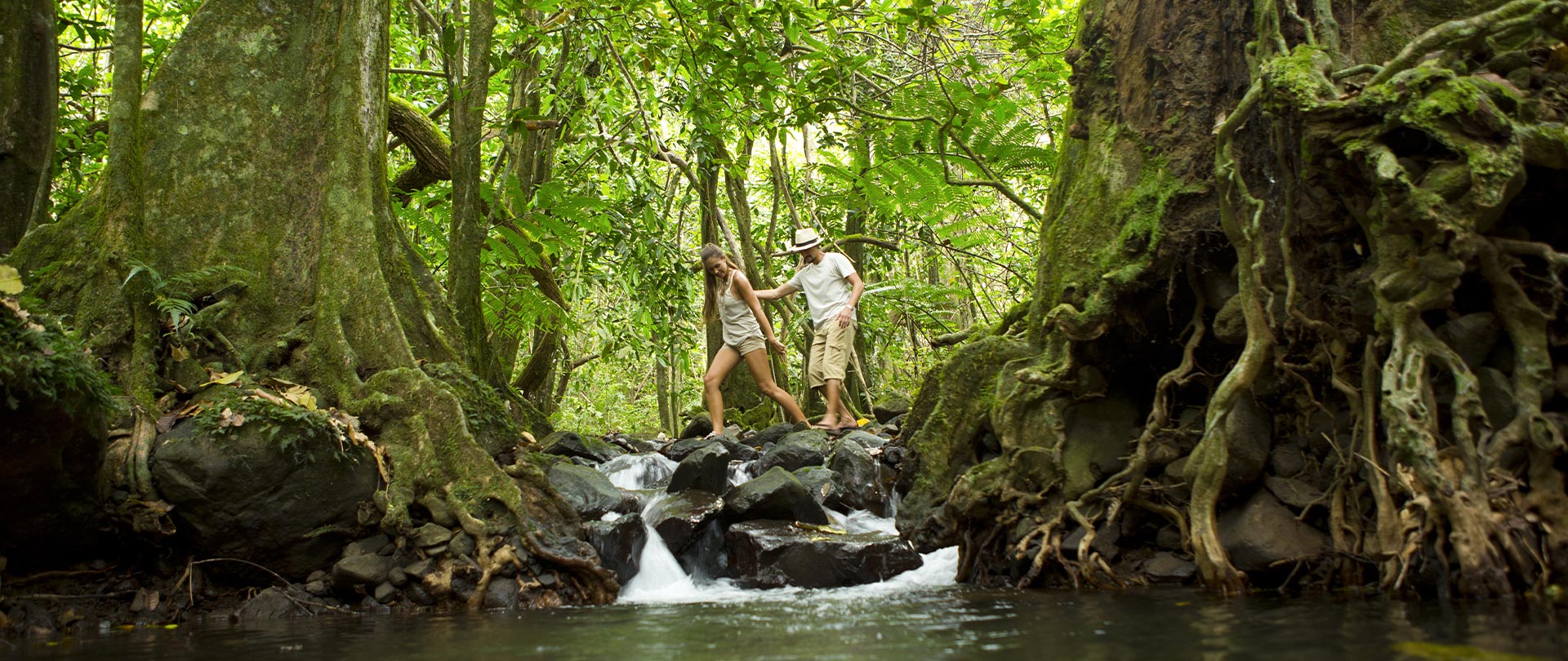 Tahiti Travel Services - Raonnée au col des 3 Pins - p2 02 moorea 00537 h