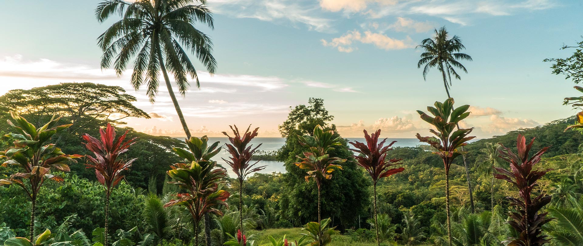 Tahiti Travel Services - Raiatea rondonnée guidée - p2 08 raiatea dsc01905 © audrey svoboda h