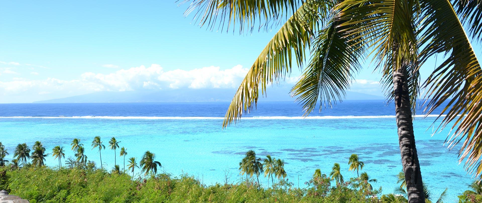 Tahiti Travel Services - Hôtel Hibiscus - P2_11_Moorea_DSC_0010_© Tahiti Tourisme.H