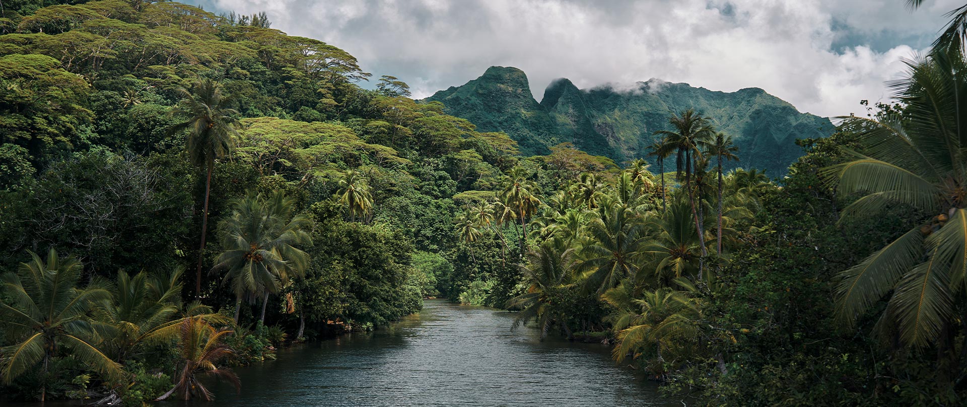 Tahiti Travel Services - Raiatea Randonnée ile sacrée - p2 raiatea alikaphoto dsc8895 © alika photography h
