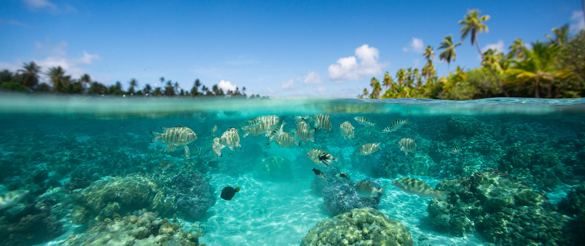 Tahiti Travel Services - tahaa journée découverte terre et mer - p2 tahaa 00219 tahaa © grégoire le bacon h