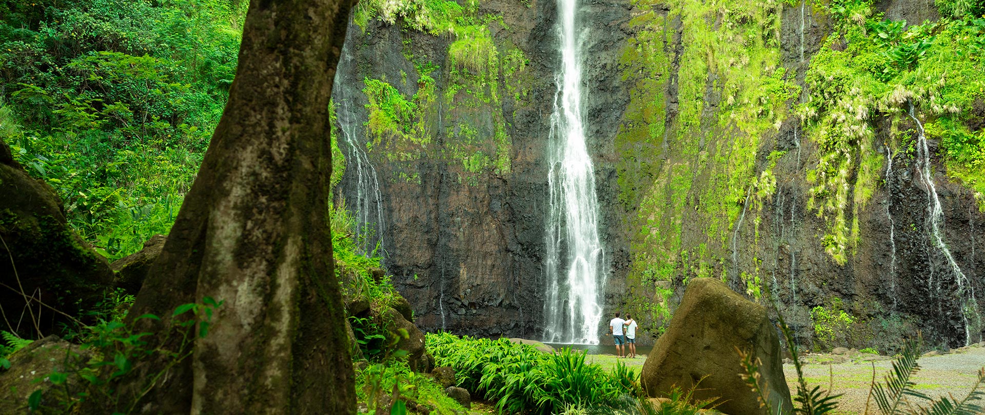 Tahiti Travel Services - p2 tahiti 00032 tahiti © grégoire le bacon h