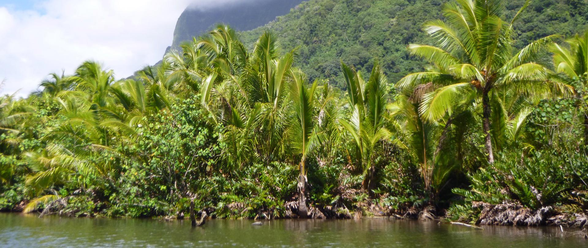 Tahiti Travel Services - Raiatea expédition en 4x4 - rfp toa nui raiatea faaroa©toa nui tours h