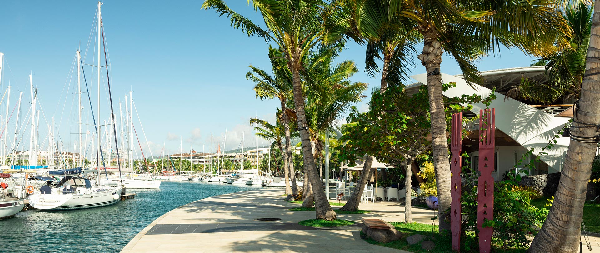 p2 tahiti 00090 tahiti © grégoire le bacon f