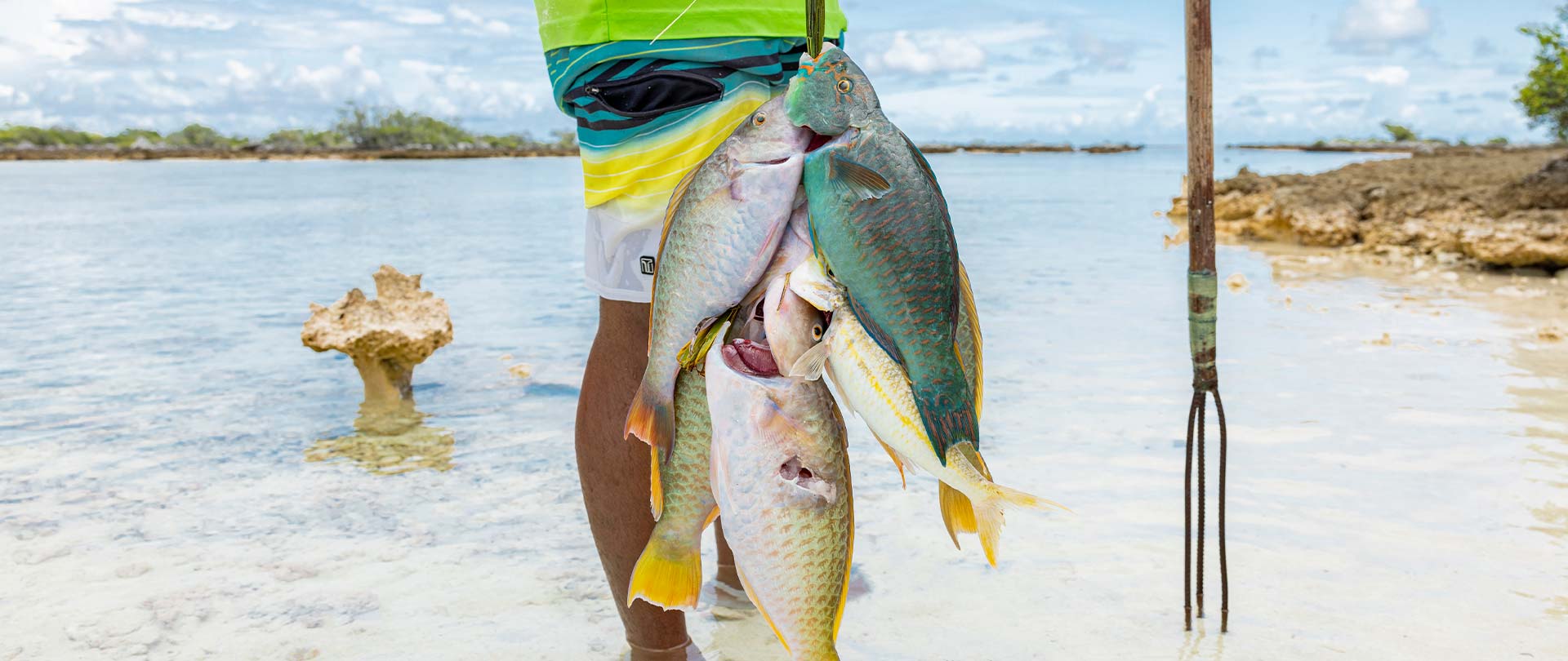 Fishing discovery initiation moorea