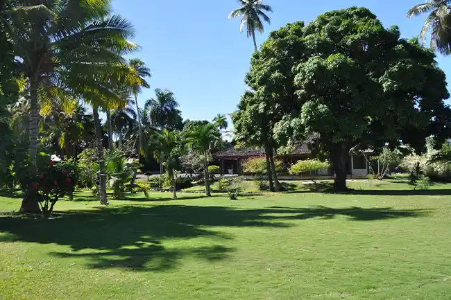 lush green park with palm trees at royal tahitien hotel