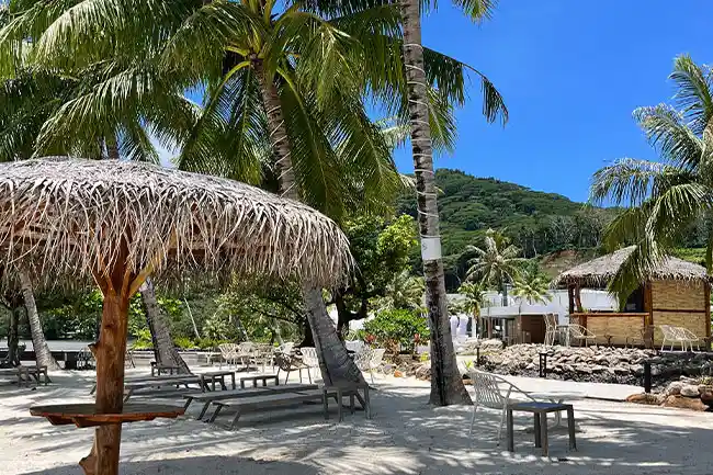tropical garden at apatoa beach & garden