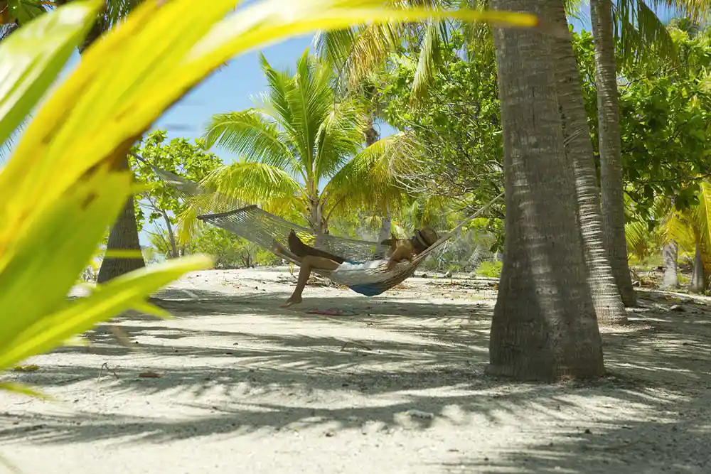 Déconnexion totale dans un hamac à l’ombre des palmiers à Tikehau